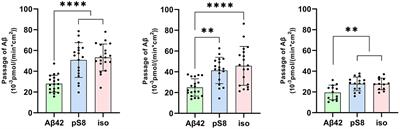Post-translational modifications of beta-amyloid alter its transport in the blood-brain barrier in vitro model